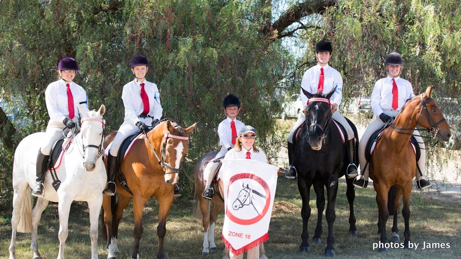 Z16 SR team2 2016
