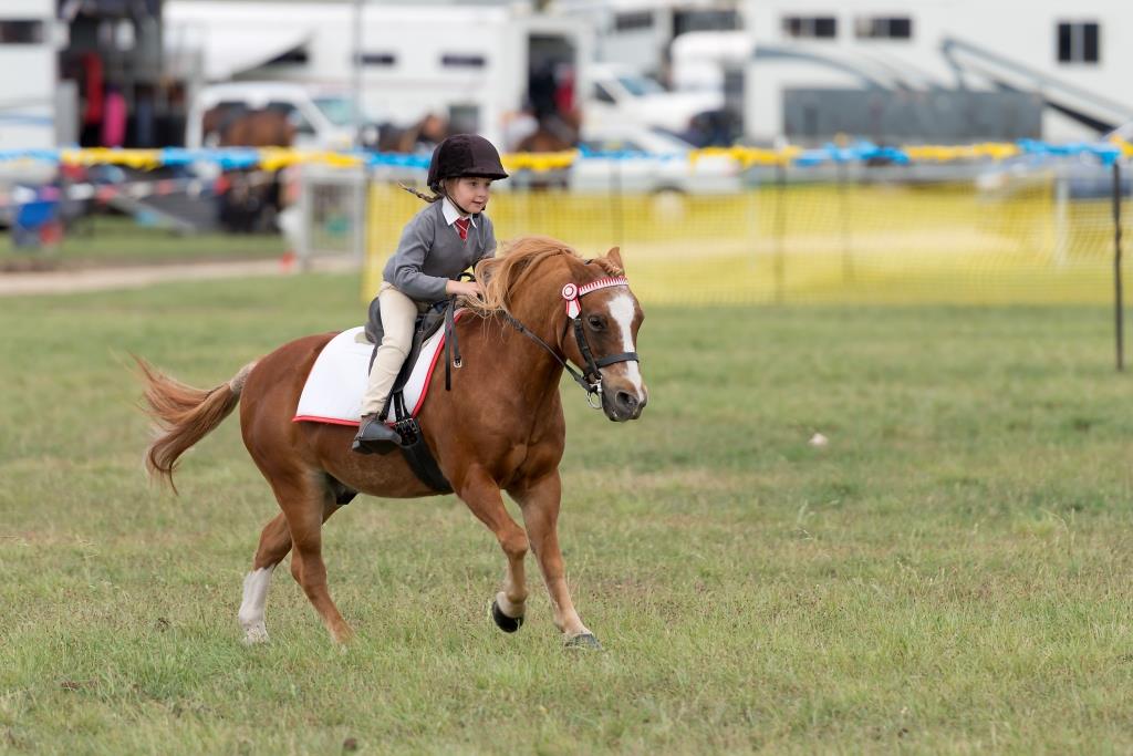 2016 BDPC Rider
